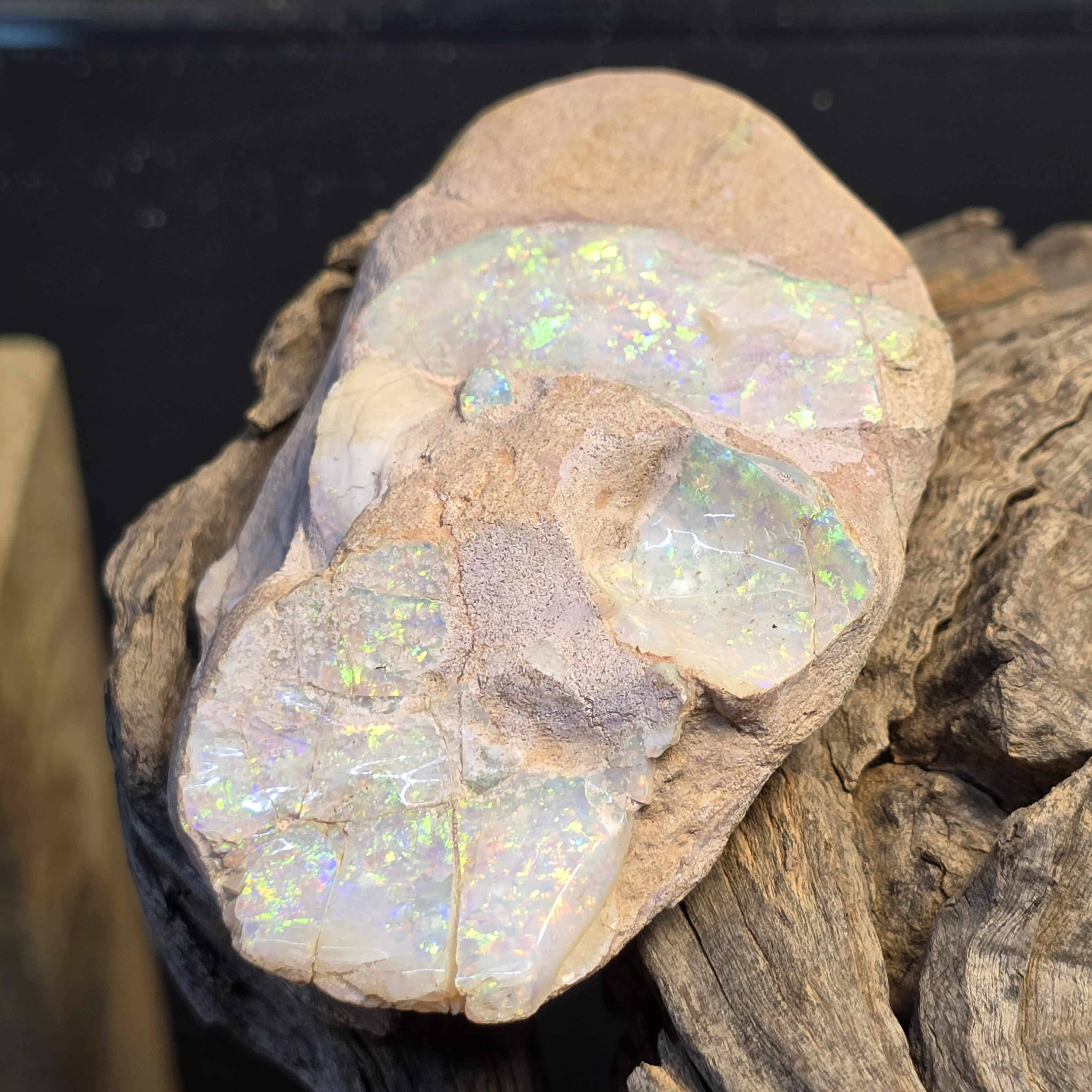 Rough White Opal