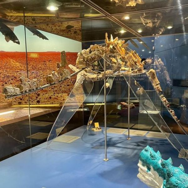 Addyman Plesiosaur Addyman Plesiosaur