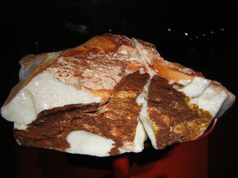 Olympic Australis Olympic Australis