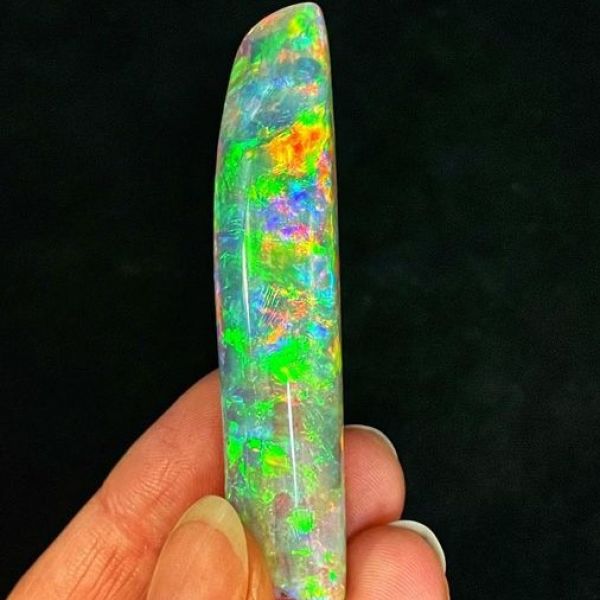 The Virgin Rainbow (Currently on Display at the South Australia Museum) The Virgin Rainbow (Currently on Display at the South Australia Museum)